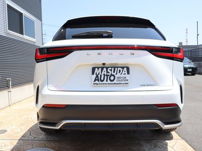 LEXUS NX - 6