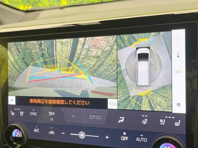 2024 TOYOTA ALPHARD 照片 6