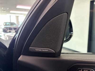 2023 BMW X7 缩略图 38