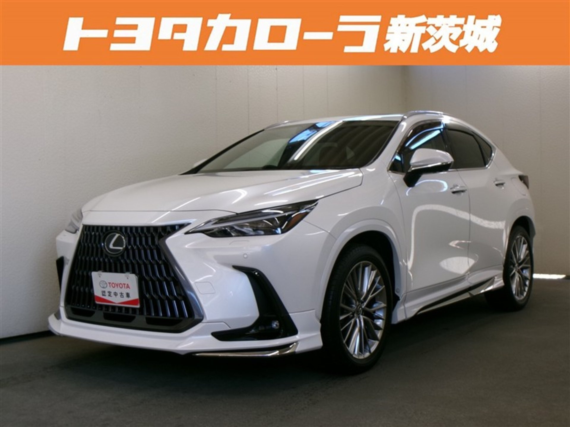 LEXUS NX - View 1
