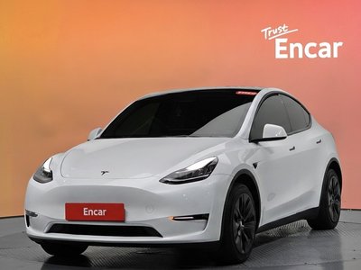 2022 Tesla MODEL Y photo 1