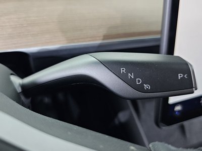 2022 Tesla MODEL Y thumbnail 12