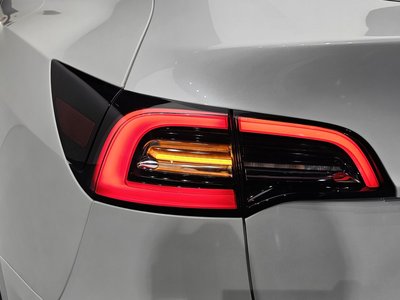 2022 Tesla MODEL Y photo 10