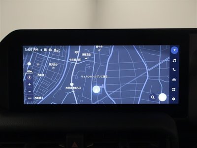 TOYOTA LAND CRUISER - 10