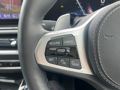 2025 BMW X7 thumbnail 12