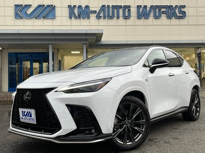 LEXUS NX - 1