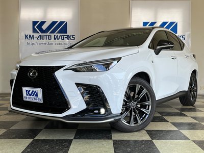 LEXUS NX - 2