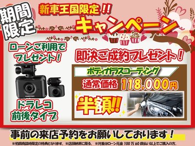 TOYOTA LAND CRUISER 70 - 3