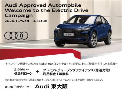 AUDI RS E-TRON GT - 2