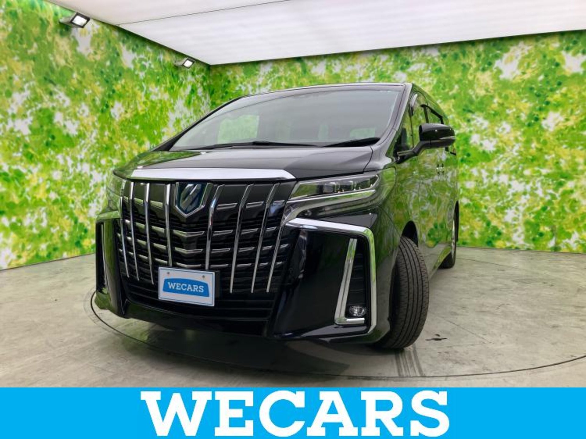 TOYOTA ALPHARD - View 1