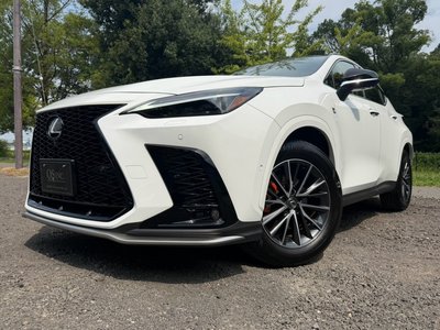 2025 Lexus NX photo 7