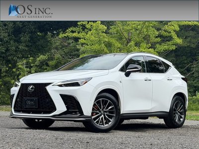 2025 Lexus NX photo 1