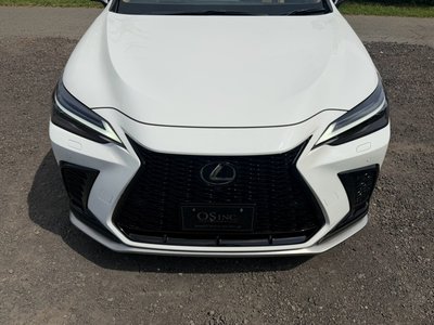 صورة مصغرة 20 لـ 2025 Lexus NX