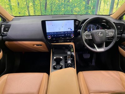 2023 Lexus NX 照片 2