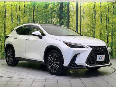 صورة مصغرة 17 لـ 2023 Lexus NX