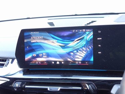 2024 BMW X2 缩略图 27