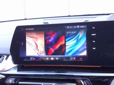 2024 BMW X2 缩略图 26