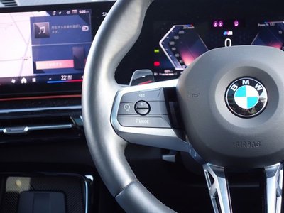 2024 BMW X2 照片 8