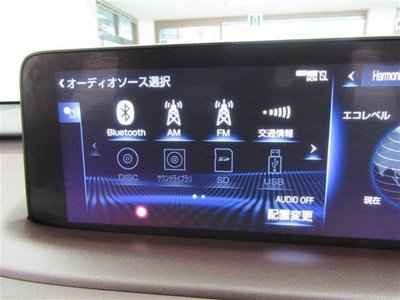 LEXUS RX - 9