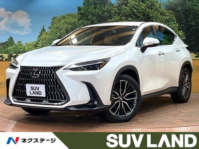 LEXUS NX - 1