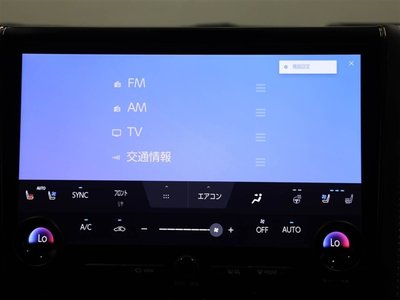 2024 Toyota ALPHARD 缩略图 22