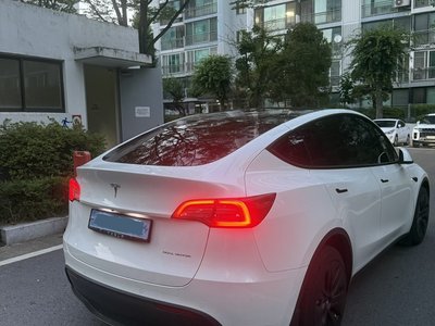 2022 Tesla MODEL Y photo 4