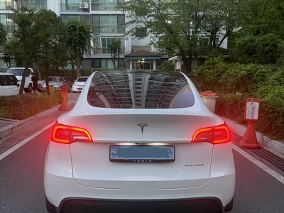 2022 Tesla MODEL Y photo 3