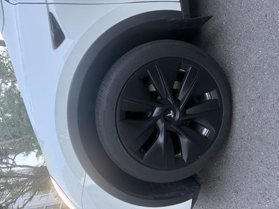 2022 Tesla MODEL Y photo 6