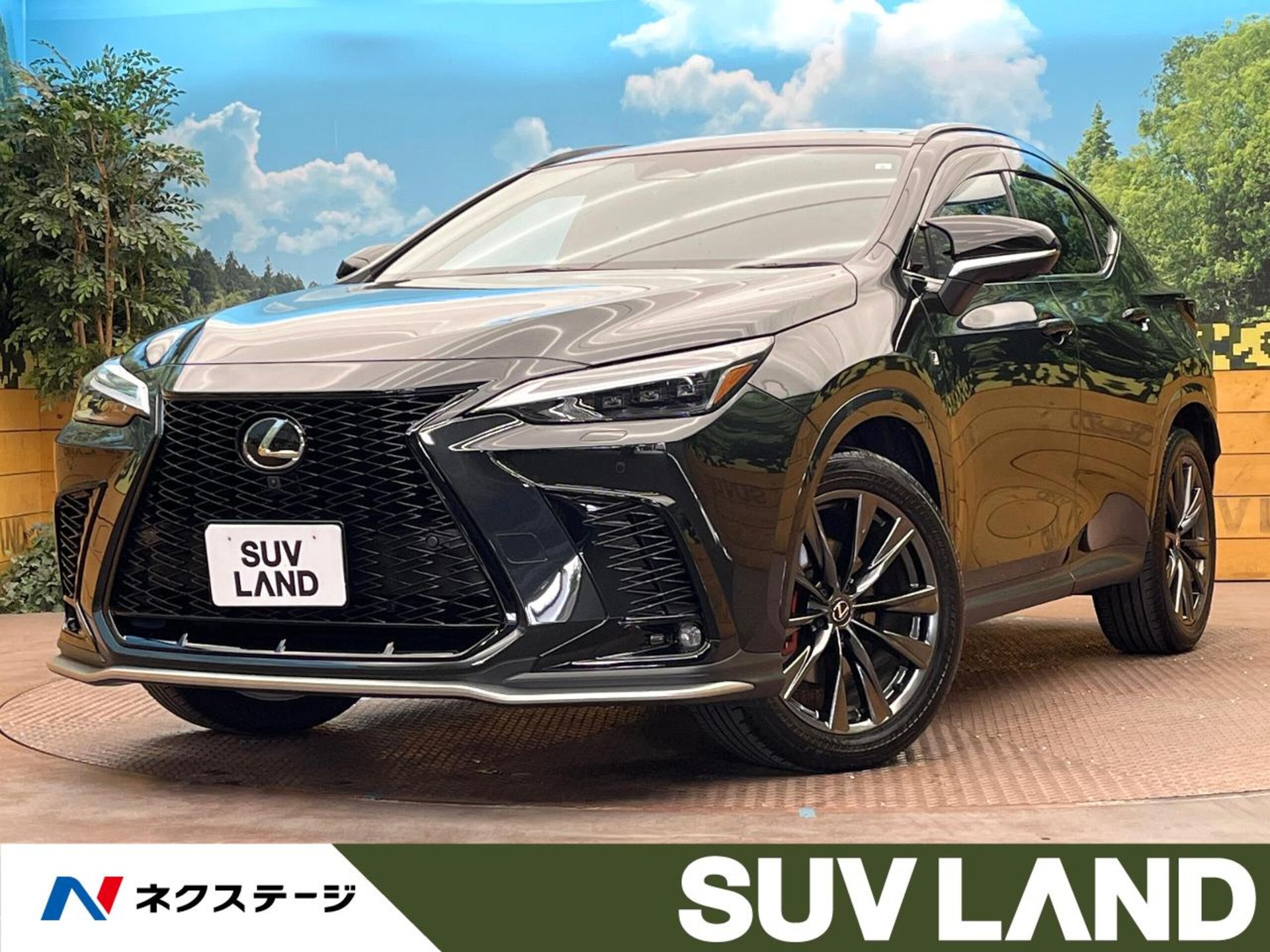 LEXUS NX - View 1