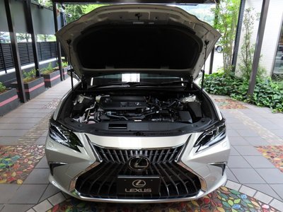 صورة مصغرة 82 لـ 2025 Lexus ES