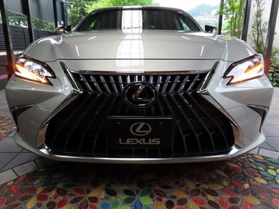 صورة مصغرة 11 لـ 2025 Lexus ES