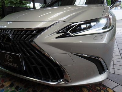 2025 Lexus ES photo 10