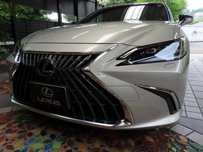 2025 Lexus ES photo 1