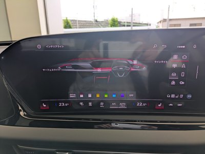 2025 AUDI A5 AVANT 缩略图 24