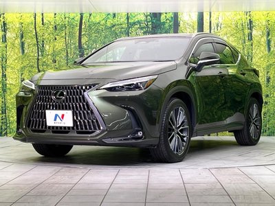 صورة مصغرة 68 لـ 2023 Lexus NX