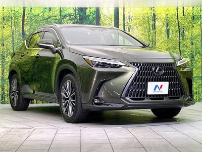 صورة مصغرة 16 لـ 2023 Lexus NX