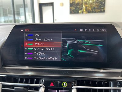 2021 BMW 8 SERIES GRAN COUPE thumbnail 28