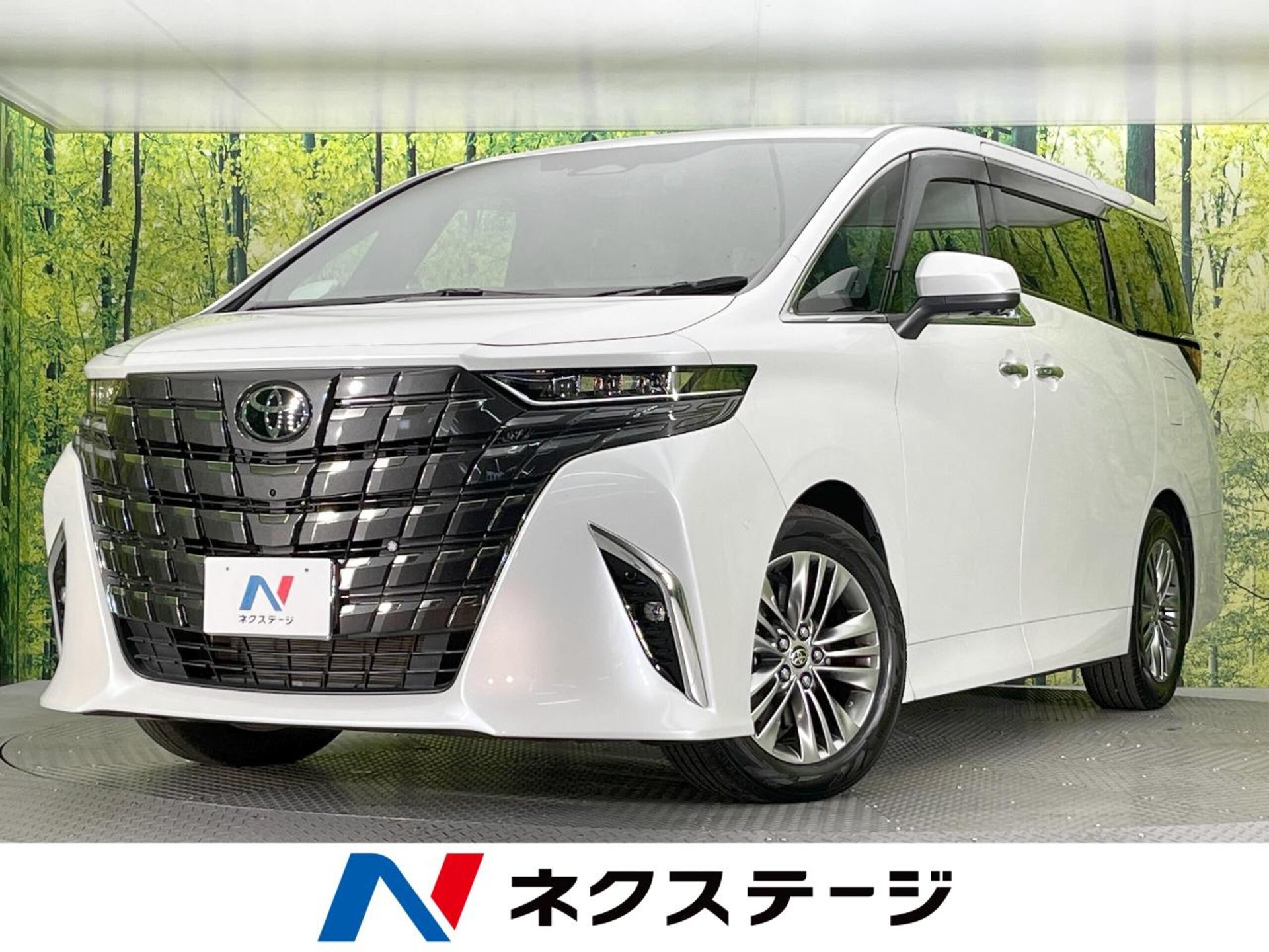 TOYOTA ALPHARD - View 1