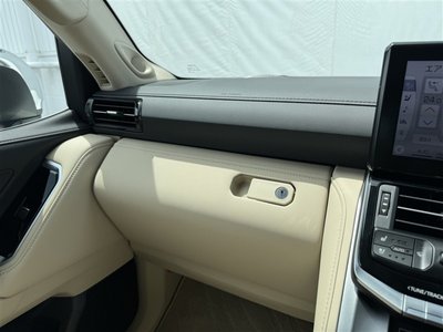 2024 Toyota LAND CRUISER 300 thumbnail 22
