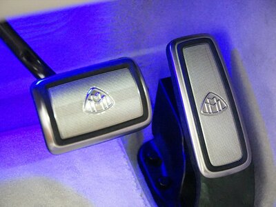 MERCEDES-BENZ GLS MAYBACH 2021 thumbnail 56