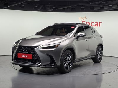 LEXUS NX - 1