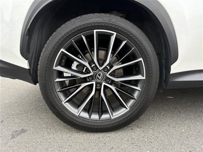 2023 Lexus NX — миниатюра 41