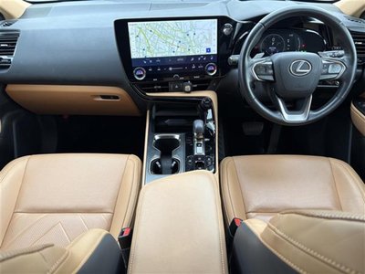 2023 Lexus NX 照片 2