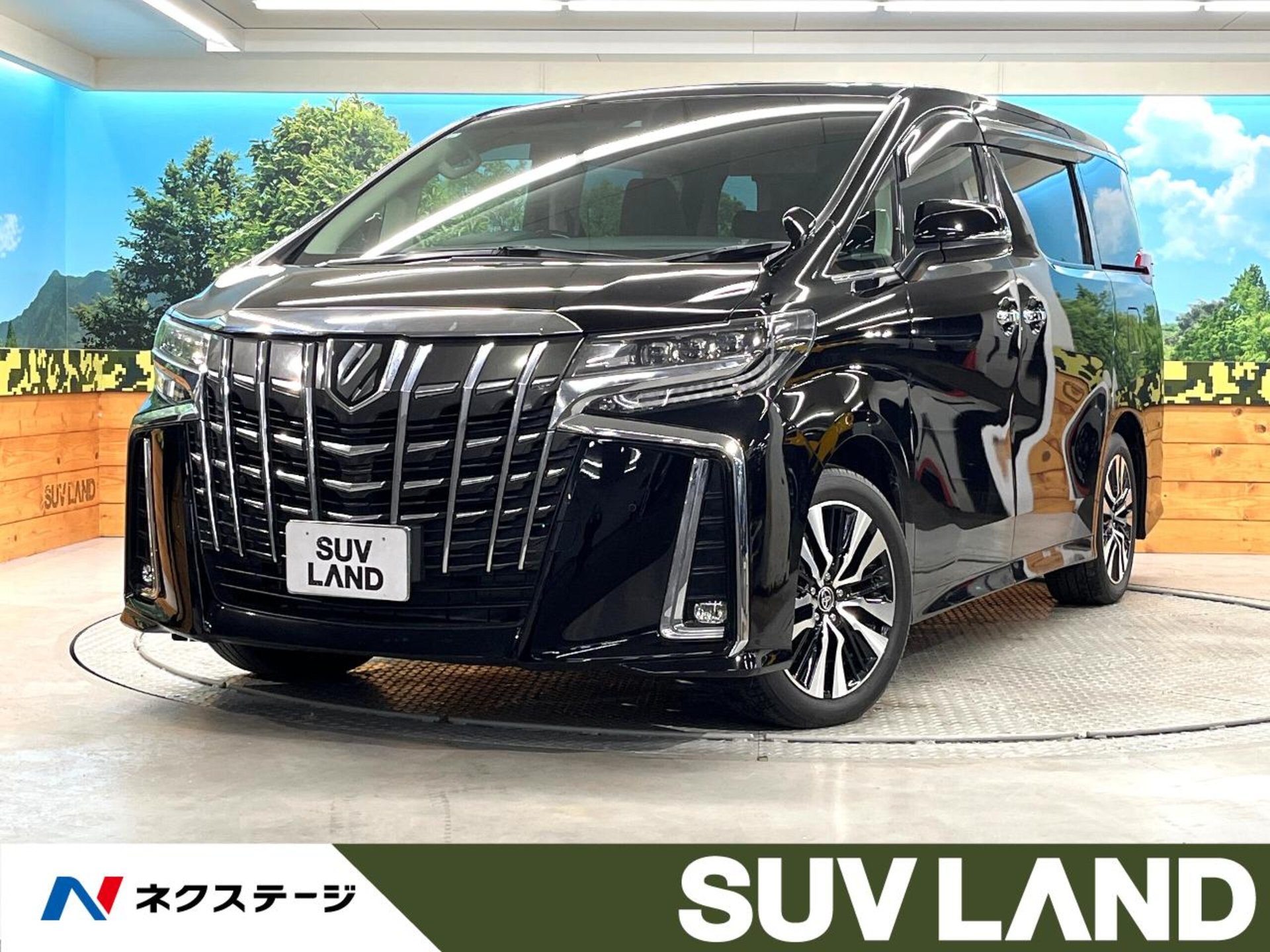 TOYOTA ALPHARD - View 1