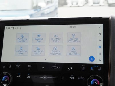2024 TOYOTA ALPHARD 缩略图 52