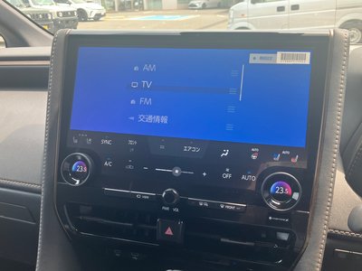 2025 TOYOTA ALPHARD 缩略图 14