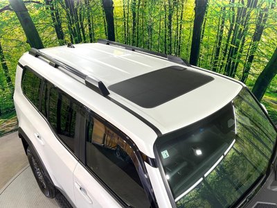 2026 Toyota LAND CRUISER 250 缩略图 60