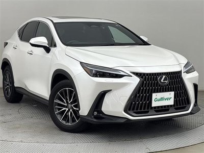 2023 Lexus NX — фото 1