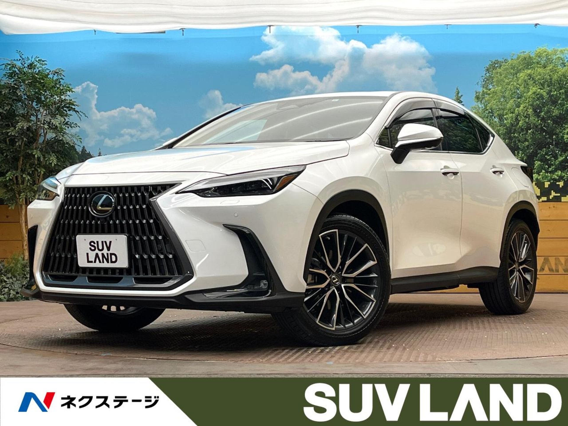 LEXUS NX - View 1