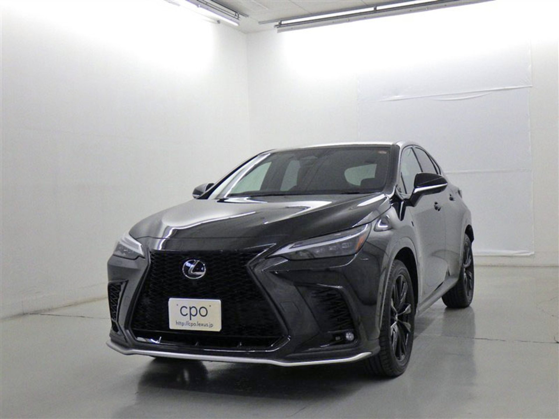 LEXUS NX - View 1